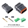 DT 12 Way Kit, SLD Gold, BLK A-KEY, SB Both - DT12-G-BK-SB2-A