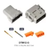 DTM 12 Way Kit Gold Solid - DTM12-G